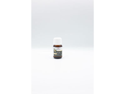 Avocado Oil