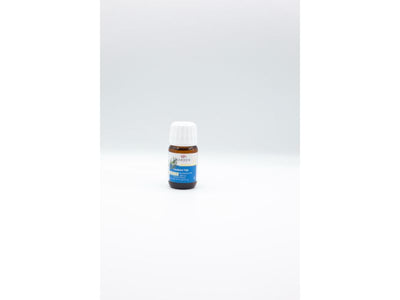 Eucalyptus Aroma